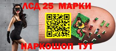 прущие грибы Краснокаменск