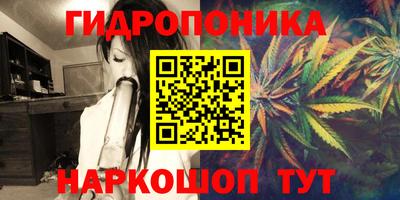 прущие грибы Краснокаменск