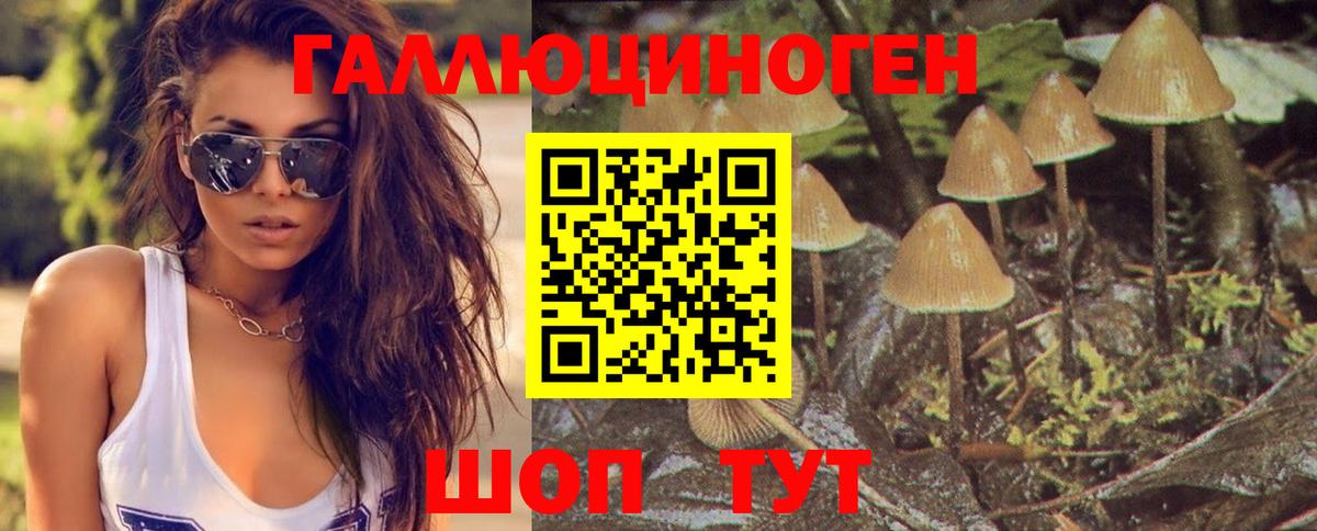 Псилоцибиновые грибы мухоморы Бирск