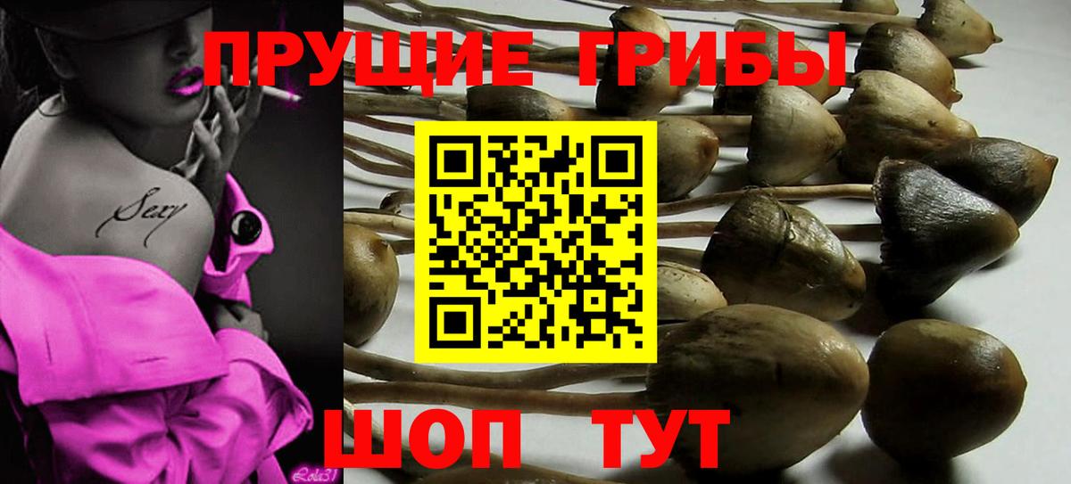 Псилоцибиновые грибы Psilocybe  Галлюциногенные грибы Psilocybine cubensis  хочу наркоту  Бирск  Вход с VPN 